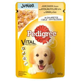 PEDIGREE JUNIOR ALLEINFUTTER FÜR WELPEN RIND IN GELEE-BEUTEL 100 G 24 STÜCK
